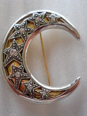Moon & Stars Pin   830